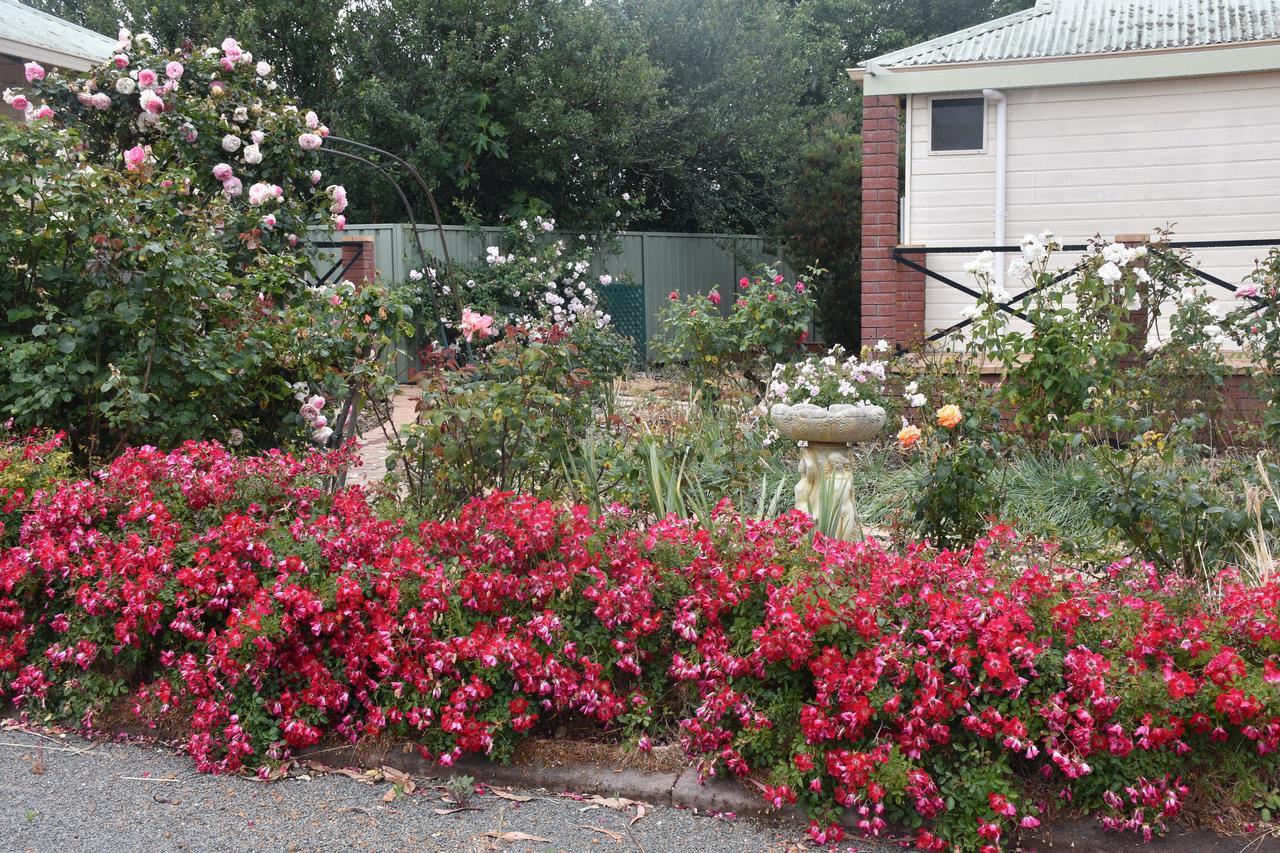 Mount Barker Valley Views Motel & Chalets, Western Australia ภายนอก รูปภาพ